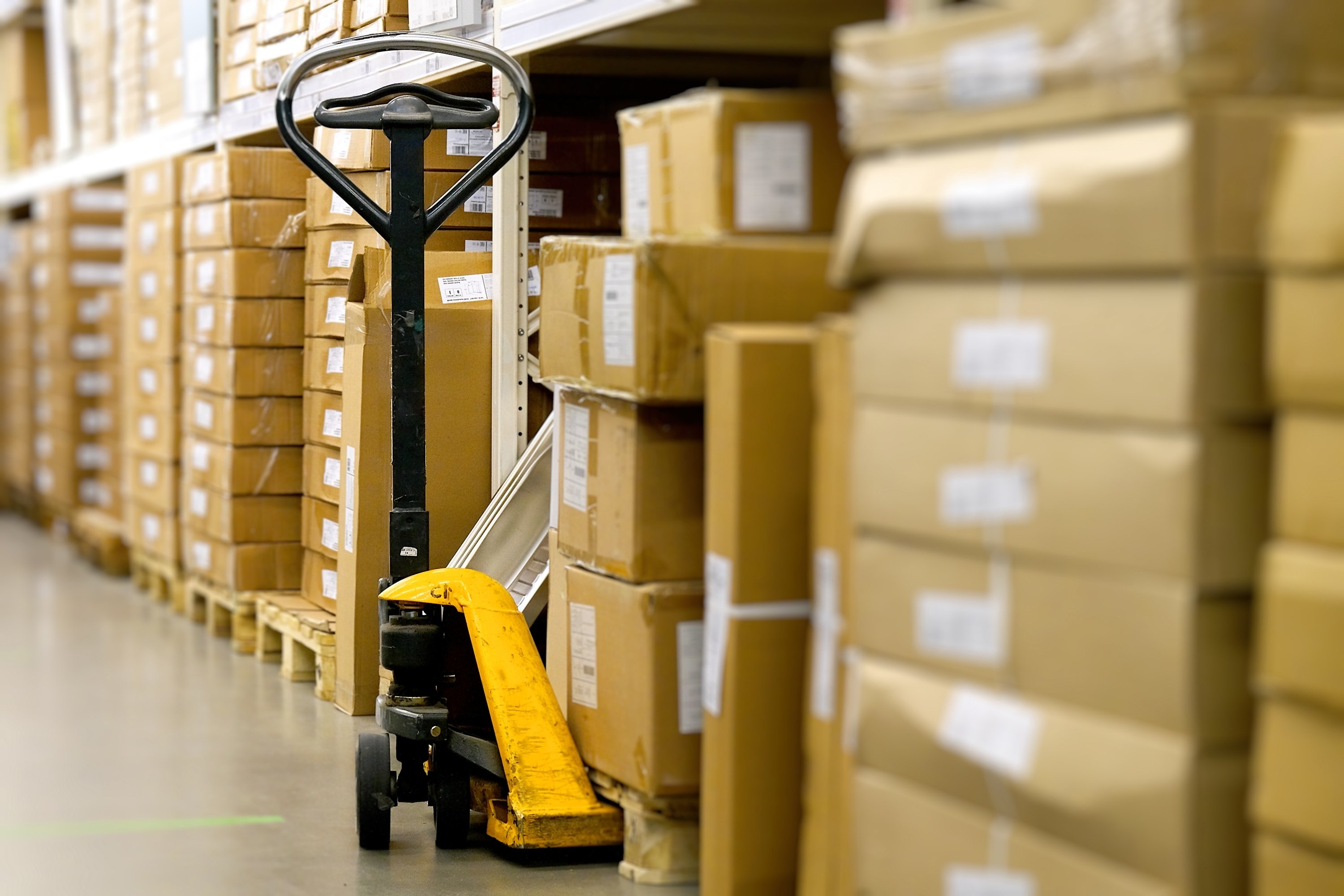 shutterstock_2425351383