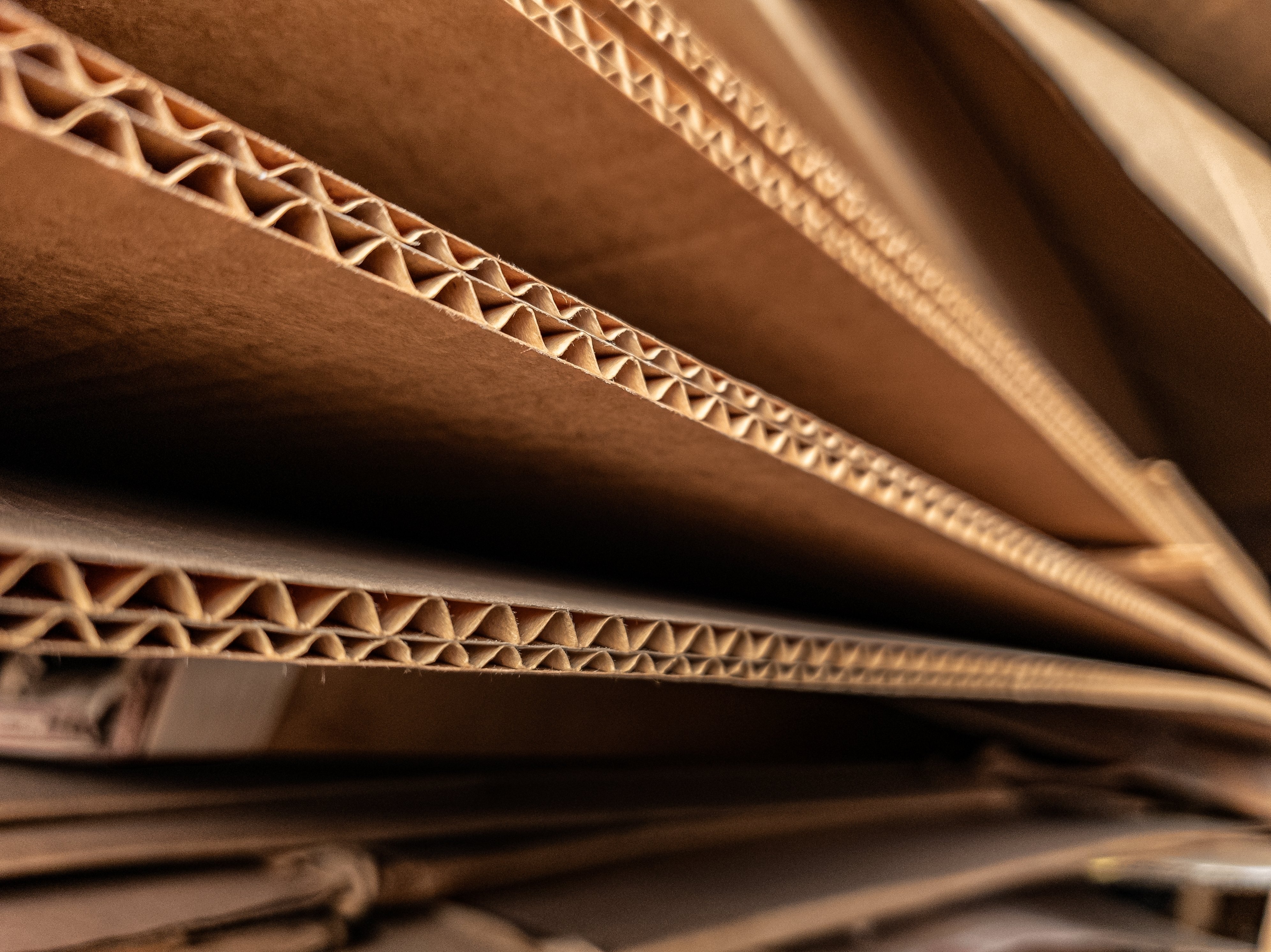 shutterstock_2558587363